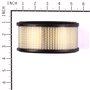 Cartuccia Filtro Aria - 392286 - 392286 - Originale Briggs & Stratton
