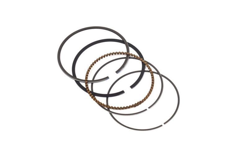 Serie Anelli V.18 Ex 807889  - 843793 - Originale Briggs & Stratton
