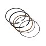 Serie Anelli V.18 Ex 807889  - 843793 - Originale Briggs & Stratton