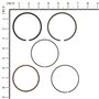 Serie Anelli V.18 Ex 807889  - 843793 - Originale Briggs & Stratton