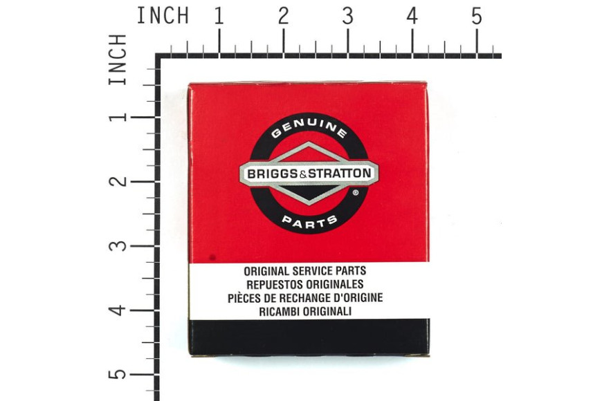 Serie Anelli V.18 Ex 807889  - 843793 - Originale Briggs & Stratton