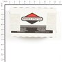 Filtro Aria Carta - 592605 - Originale Briggs & Stratton