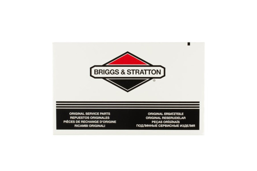 Elemento Filtrante Orizzontali 7-14Hp - 270093 - Originale Briggs & Stratton