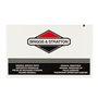Elemento Filtrante Orizzontali 7-14Hp - 270093 - Originale Briggs & Stratton