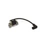 Armature-Magneto Mod 12Q-14 V.P. - 595291 - Originale Briggs & Stratton