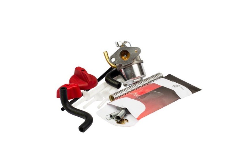 Carburatore Snow Ex 794587 - Originale Briggs & Stratton - 798917 - Originale Briggs & Stratton