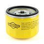 Filtro Olio Intek Vanguard Boxer Professional (4206 X 12) - 696854 - Originale Briggs & Stratton