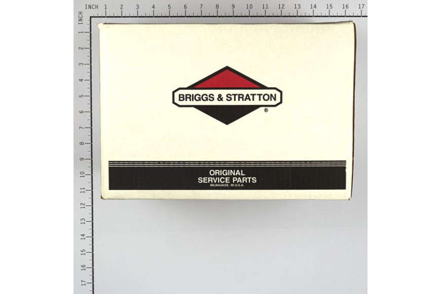 Pump - 206376GS -  Briggs & Stratton - Genuine Spare Parts