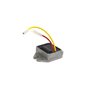 Regolatore Snow 9 Ah Senza Batteria - 698315 - Originale Briggs & Stratton