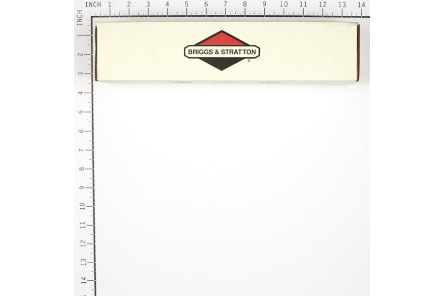 Filter-A/C Cartridge - 821136 - Originale Briggs & Statton