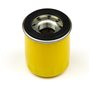 Filtro Olio Intek Pro 6,5 Serie 850 875 - 795990 - Originale Briggs & Stratton