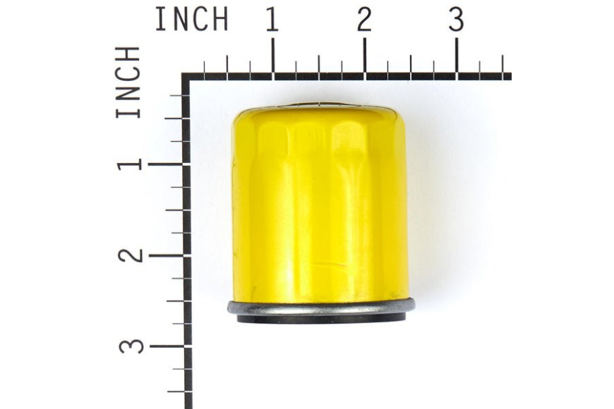 Filtro Olio Intek Pro 6,5 Serie 850 875 - 795990 - Originale Briggs & Stratton