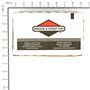 Mot. Avv.Pign.Ferro Ex808106-693469 -  691564 - Originale Briggs & Stratton