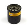 Filtro Olio Intek Pro 65 Modello 12 - 692513 - Originale Briggs & Stratton