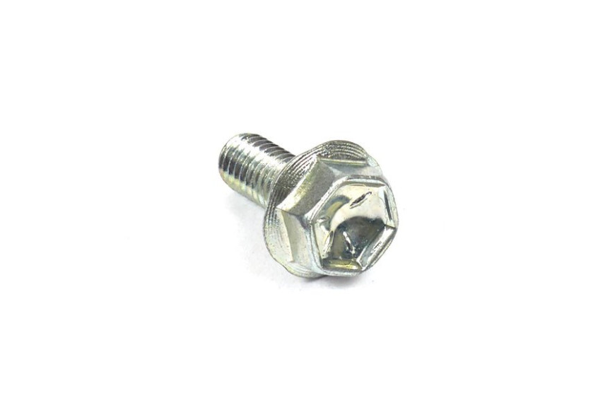 Vite X 2 - 807084 - Originale Briggs & Stratton - sostituisce - 690872