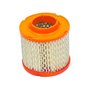 Filtro Aria - 845090 - Originale Briggs & Stratton