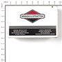 Filtro Aria - 845090 - Originale Briggs & Stratton