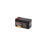 Batteria - 707495 - Originale Briggs & Stratton - sostituisce - 7102931YP