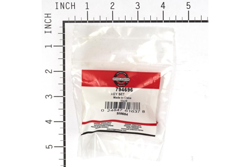 Chiave Sicurezza Montata Su Motori Da Spazzaneve  - 794696 - Originale Briggs & Stratton