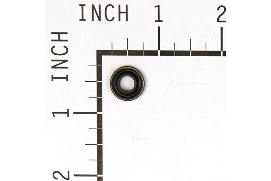 Rondella Cop. Punteria Ex 805420 - 691766 - Originale Briggs & Stratton