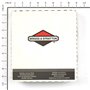 Ruota Anteriore 8X1.75      - Originale Snapper - 7035727YP