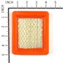 Filtro Aria Carta Ex 711496 - 711459 - Originale Briggs & Stratton