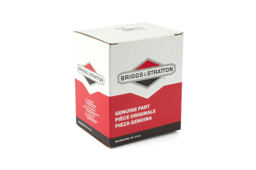 Filtro Aria (4197 Pz) - 497725S - Originale Briggs & Stratton