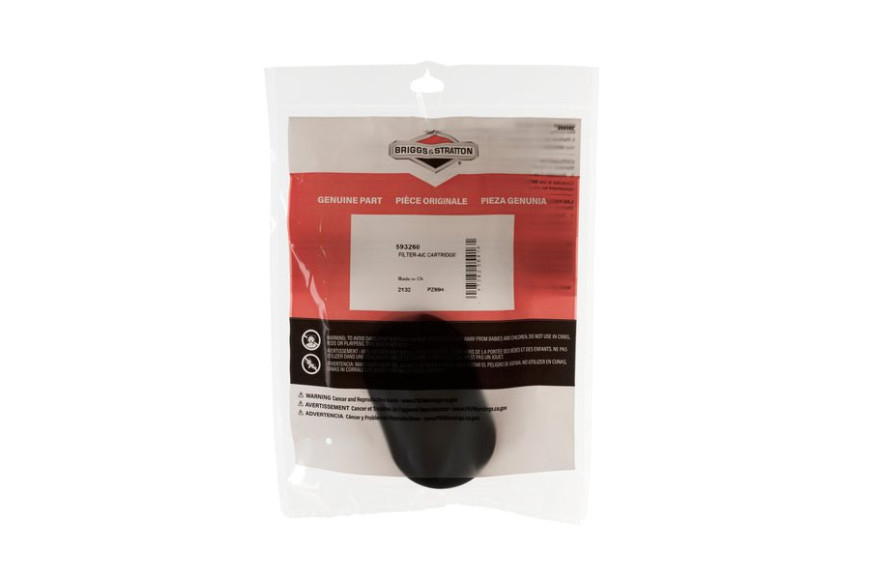 Filtro Carta E-S.Ex593260 (5X4247) - 798452 - 593260 - Originale Briggs & Stratton