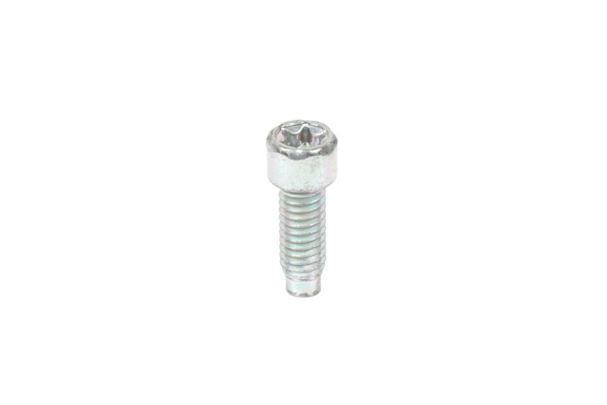 Vite Ex 690363  - 698941 - Originale Briggs & Stratton