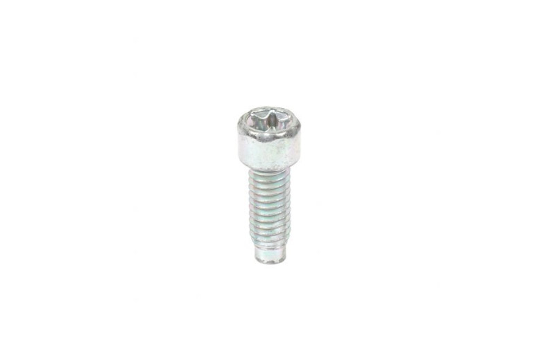 Vite Ex 690363  - 698941 - Originale Briggs & Stratton