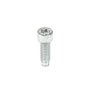 Vite Ex 690363  - 698941 - Originale Briggs & Stratton