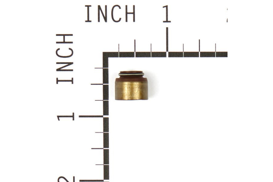 Anello Valvola Ex 805094  - 691963 - Originale Briggs & Stratton