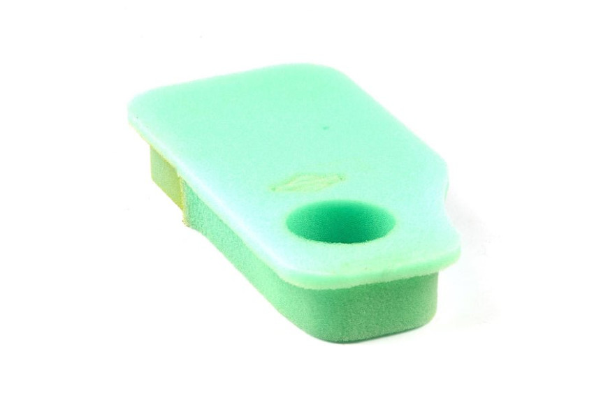 Filtro Spugna (4134 Pz 4) Verticali 11 Hp (22-25) - 270843S - Originale Briggs & Stratton