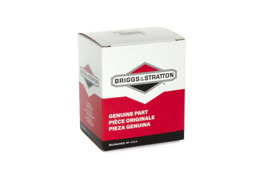 Filtro Aria Ex 392308 - 392308S - 396424S - Originale Briggs & Stratton