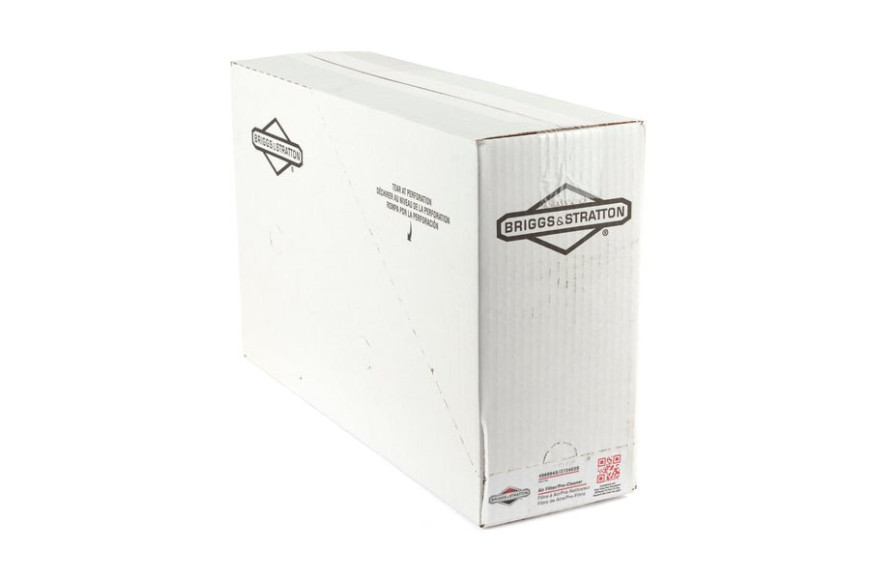 Filter-Air - 5053K - Originale Briggs & Stratton - sostituisce - 5053H