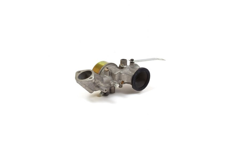 Carburatore Vecchi Motori Verticali A Valvole Laterali 11 E 12 Hp, Modelli 250700-281700  - 491031 - Originale Briggs & Stratton