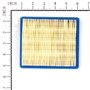 Filter-Cartridge - 73111GS - Originale Briggs & Stratton