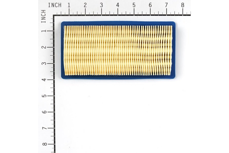 Filtro Aria 161400 - 491384 - 491384 - Originale Briggs & Stratton
