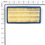 Filtro Aria 161400 - 491384 - 491384 - Originale Briggs & Stratton