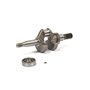 Albero Motore - 555722 - Originale Briggs & Stratton
