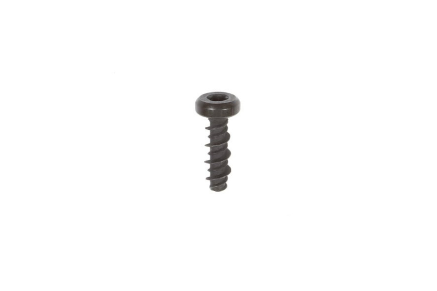 Screw - 698304 -  Briggs & Stratton - Genuine Spare Parts
