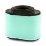 Filtro Aria Ovale (4 X 4233) - 792105 - Originale Briggs & Stratton
