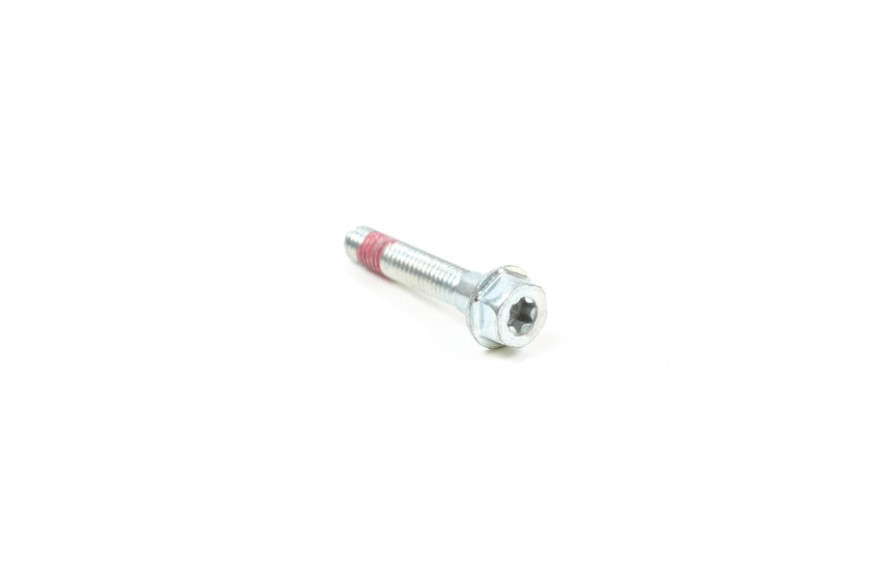 Vite - 699484 - Originale Briggs & Stratton