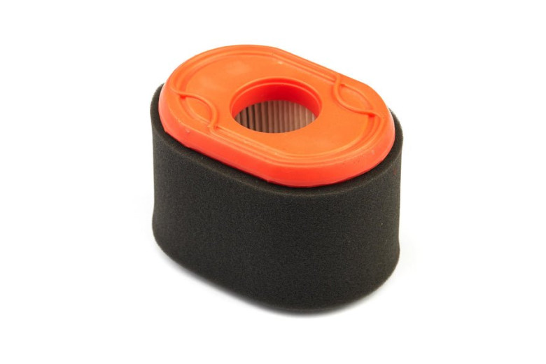 Fil.Aria X Mot.Orizz.83100 (4238 5) - 796970 - Originale Briggs & Stratton