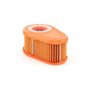 Filtro Aria Dov (5X4245) - 792038 - Originale Briggs & Stratton