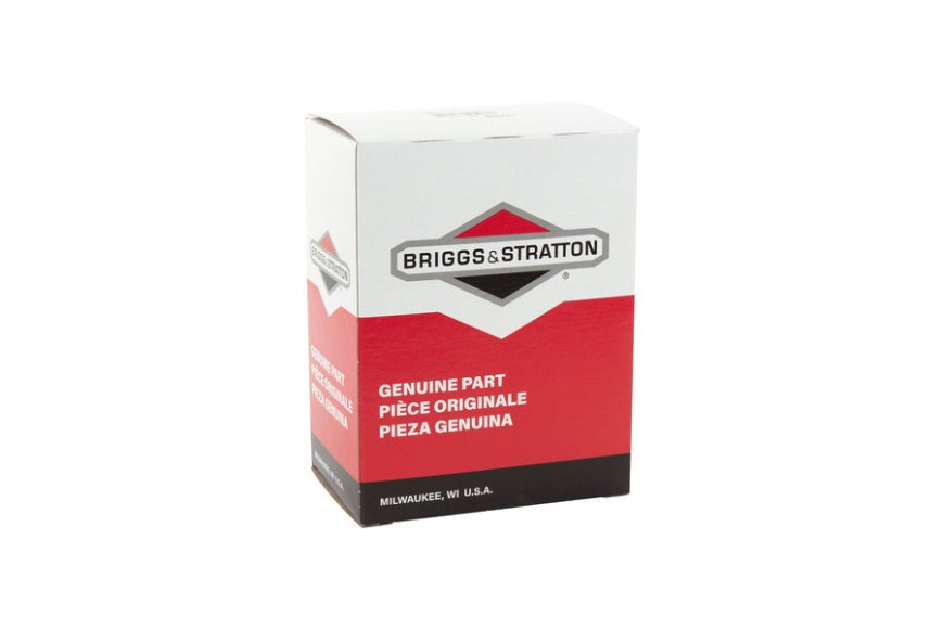 Filtro Aria Dov (5X4245) - 792038 - Originale Briggs & Stratton
