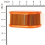 Filtro Aria Dov (5X4245) - 792038 - Originale Briggs & Stratton