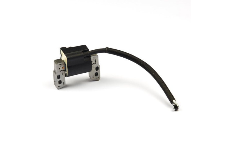 Bobina Ex 695711 - 796964 - Originale Briggs & Stratton