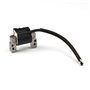 Bobina Ex 695711 - 796964 - Originale Briggs & Stratton