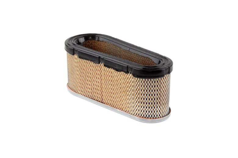 Filtro Aria Ex493909 - 496894S - Originale Briggs & Stratton
